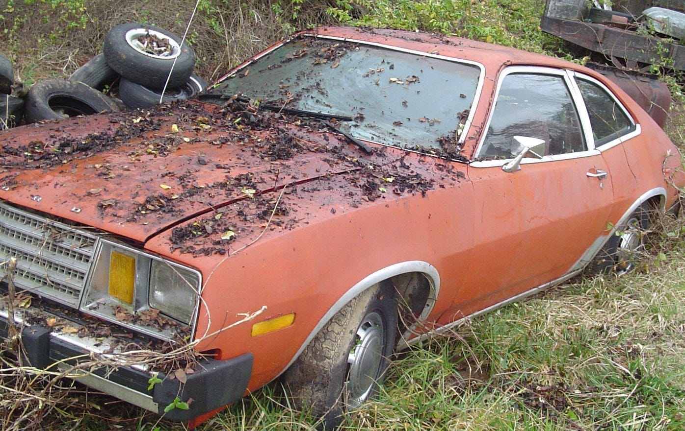 Stuck in the Hedge: 1980 Ford Pinto | Barn Finds