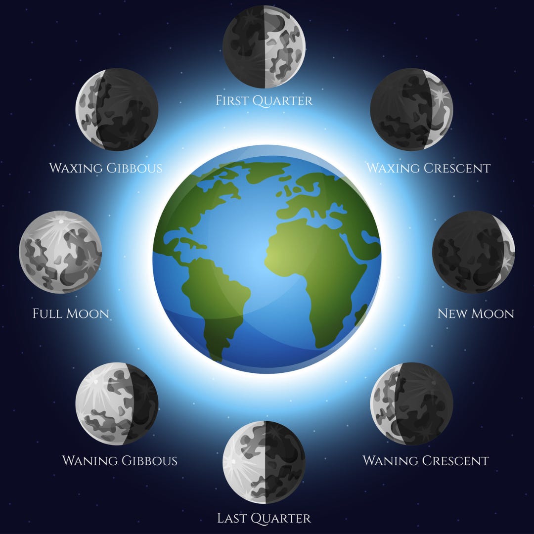 Depiction of the lunar cycle with all its phases