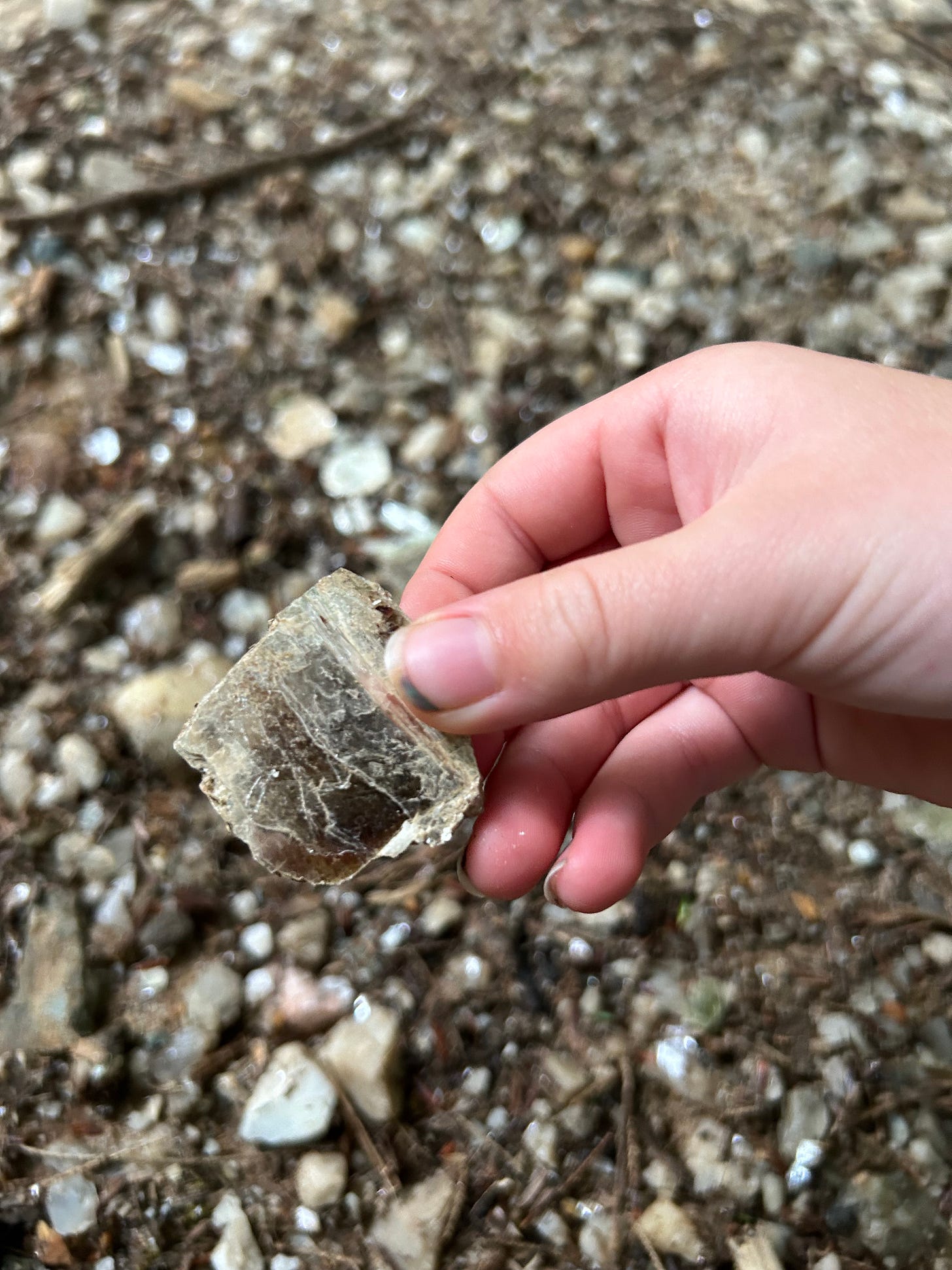 a child's hand holding a piece of shiny mica