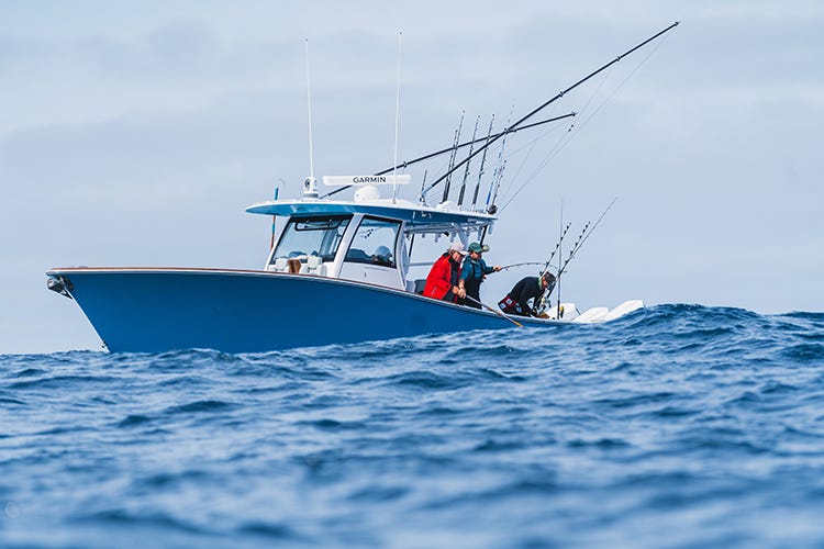 Tuna Fishing Rhode Island | Phenom Yachts