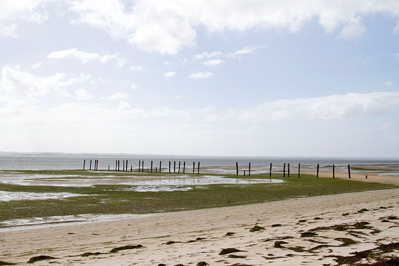 Beach and old pier on French Island near Fairhaven Campground.