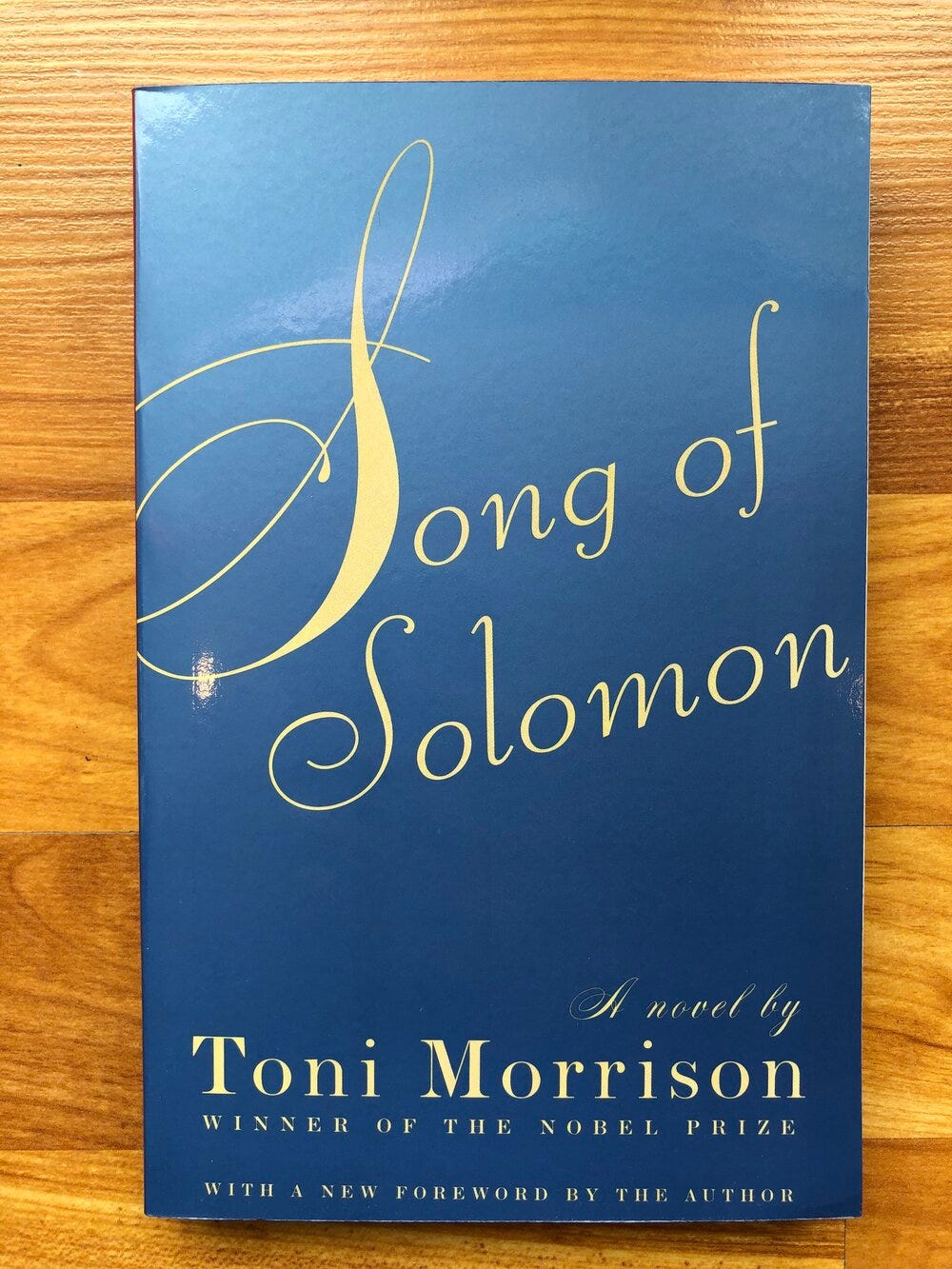 Song of Solomon by Toni Morrison — Yellow Dog Bookshop