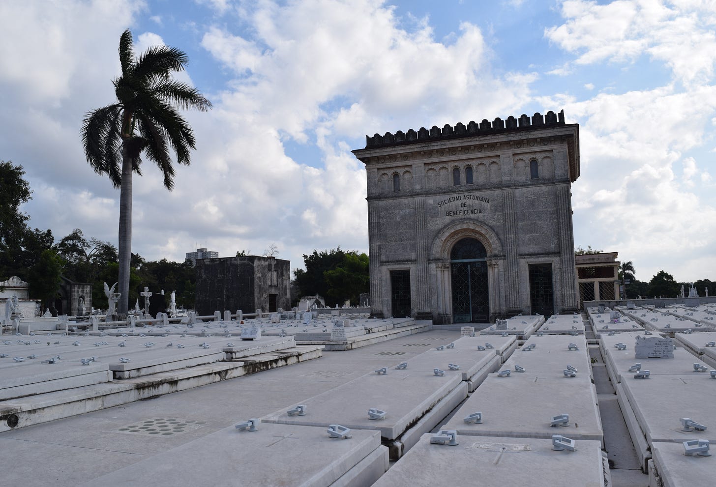 A large number of concrete grave tops extend toward a large memorial building in a Cuban cemetery. The fronds of a palm tree blow in the breeze under a blue sky dotted with large white clouds.