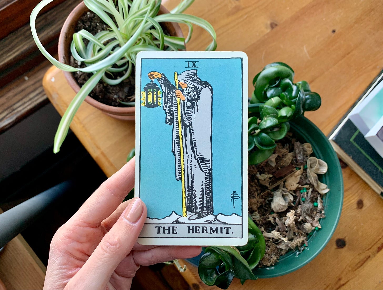 A hand is holding a tarot card, the hermit by pamela colman smith. In the image, a person is standing cloaked in all gray with a white beard and hood. They're holding a lamp with a star in it, and a staff. They're standing on the top of a snow capped mountain inside a mountain range. The background of the card is teal. Behind the card are some houseplants on a wooden table next to a window sill.