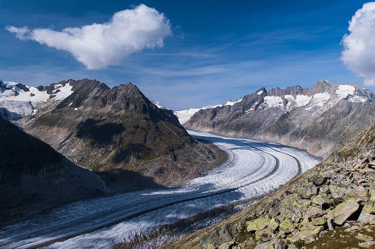 Great Aletsch Glacier 2021 – note the clean rock on the right-hand side, showing the former level of the ice. David Christian (Creative Commons)