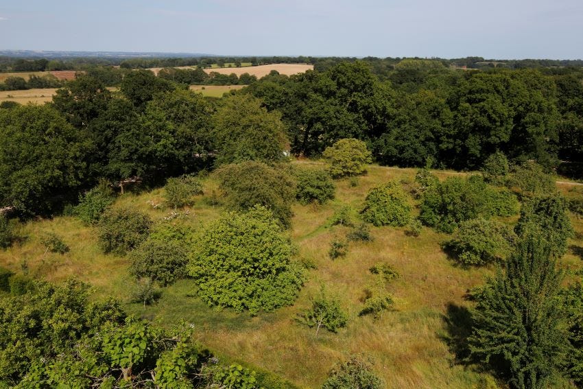 View from the Tower at Sissinghurst Castle Garden copyright Charles Hawes
