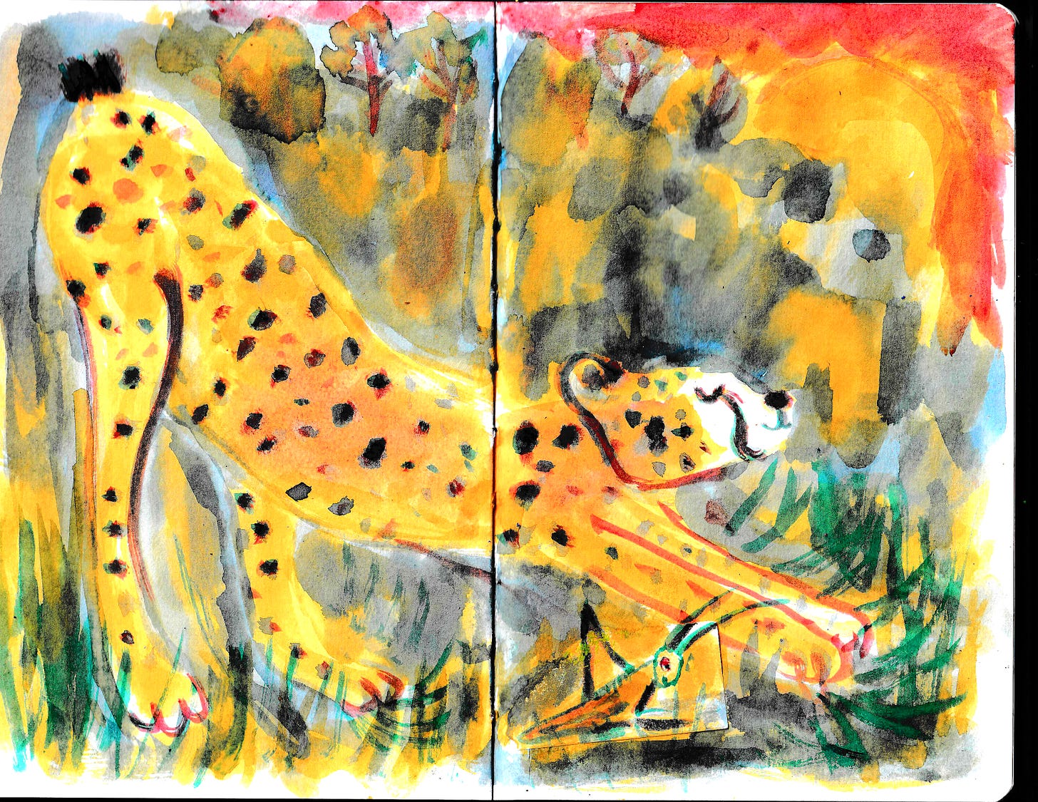 grasshopper and cheetah illustration by Beth Spencer