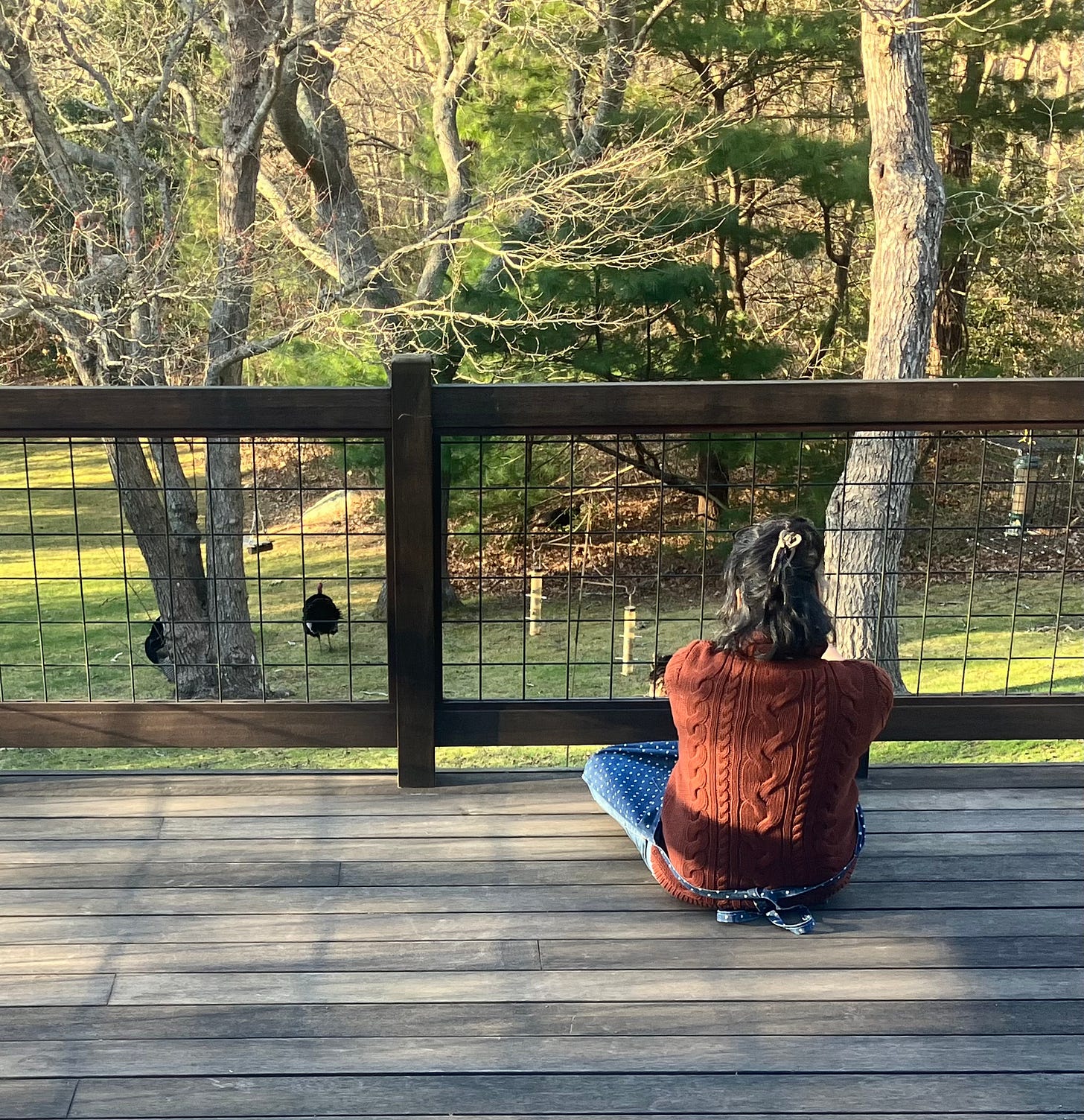 Woman sitting on deck watching turkeys in yard Woman sitting on deck watching turkeys in yard