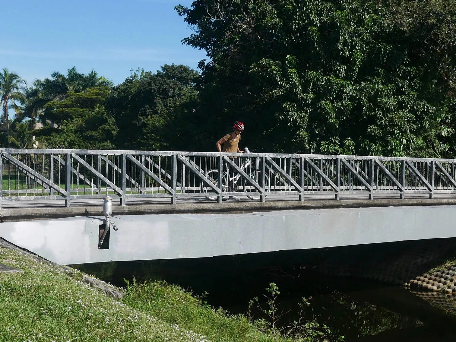L'art du vélo L'art du vélo