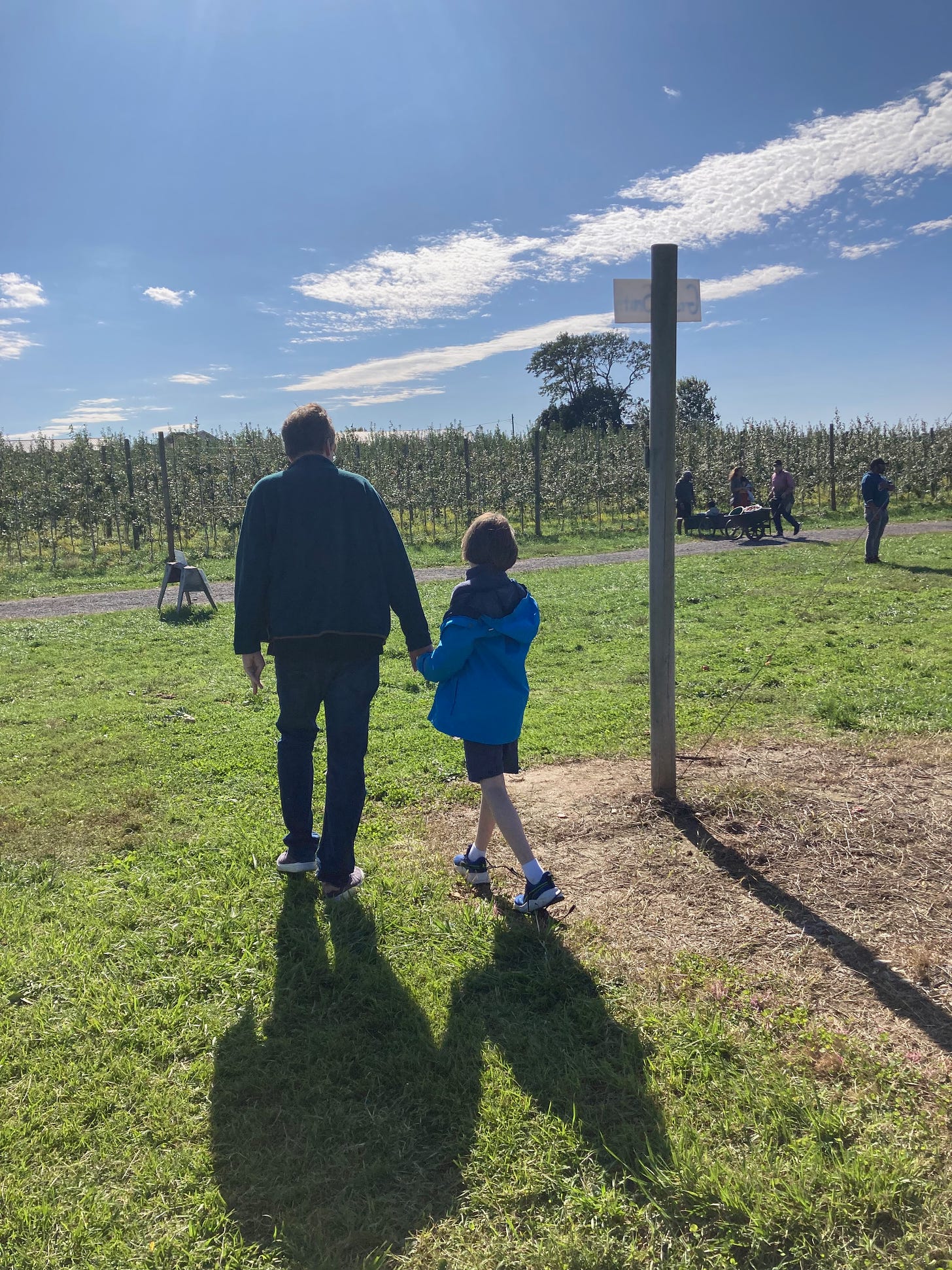 A photo of my husband and older son walking in an apple orchard on a bright, sunny fall day