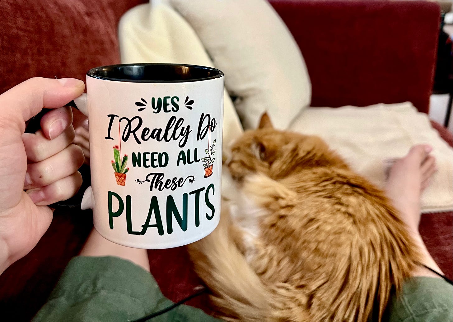 Close-up of my hand holding a coffee mug that reads, "Yes I really do need all these plants." You can see my legs outstretched on the couch, and my fuzzy orange cat Stella is asleep by my feet.