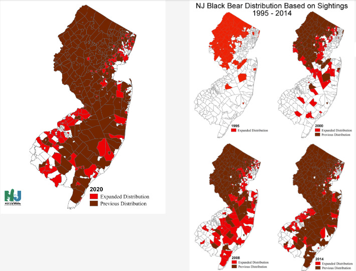 Maps showing expanded population of New Jersey's black bear population