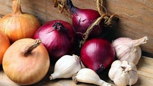Onions and garlic 