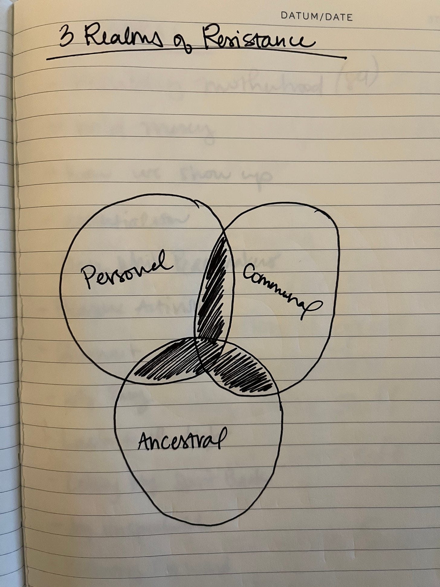 A hand-drawn picture of a Venn diagram with the communal, personal and ancestral realm drawn on them. The words "3 Realms of Resistance" at the top, my earliest sketch for the book