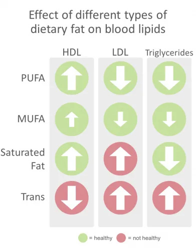 Dietary Fat: What the experts think - Feed Them Wisely