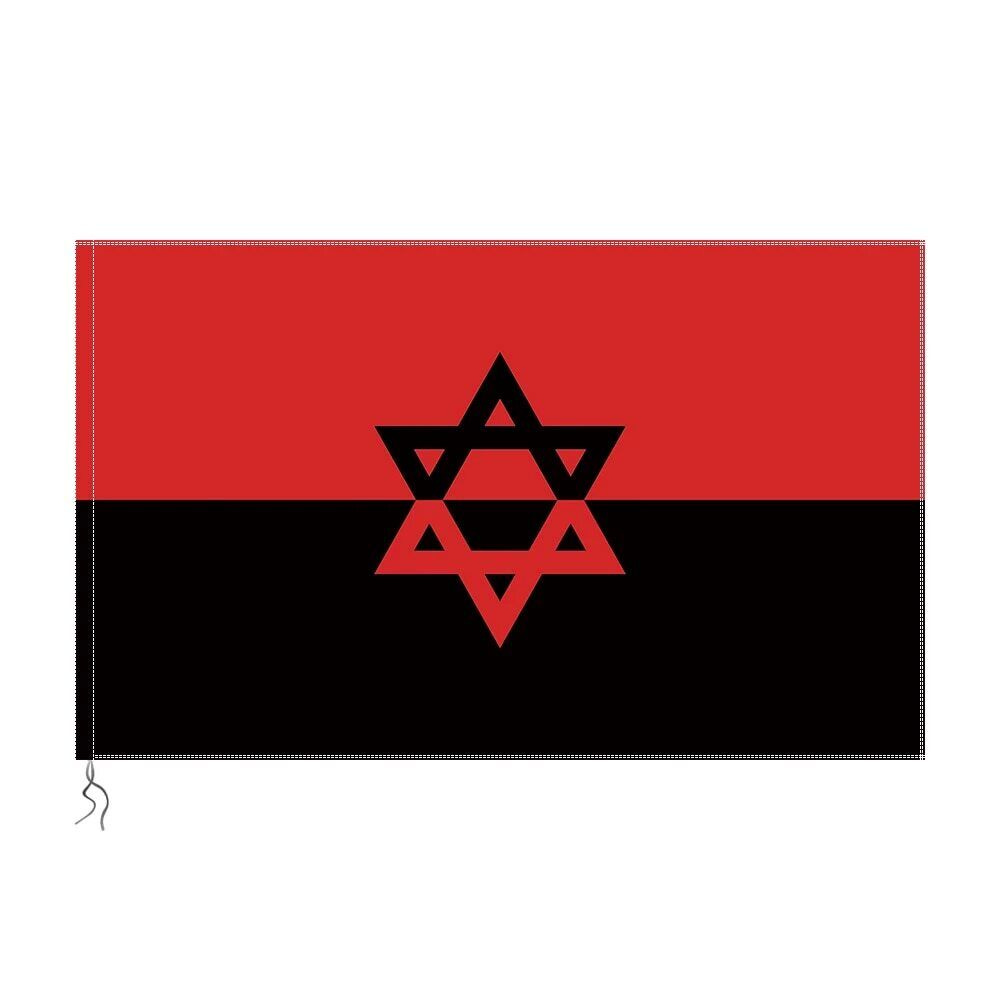 Flag Ukrainian Insurgent Army Star of David Zhidobanderovtsy Slava Ukraini  New | eBay