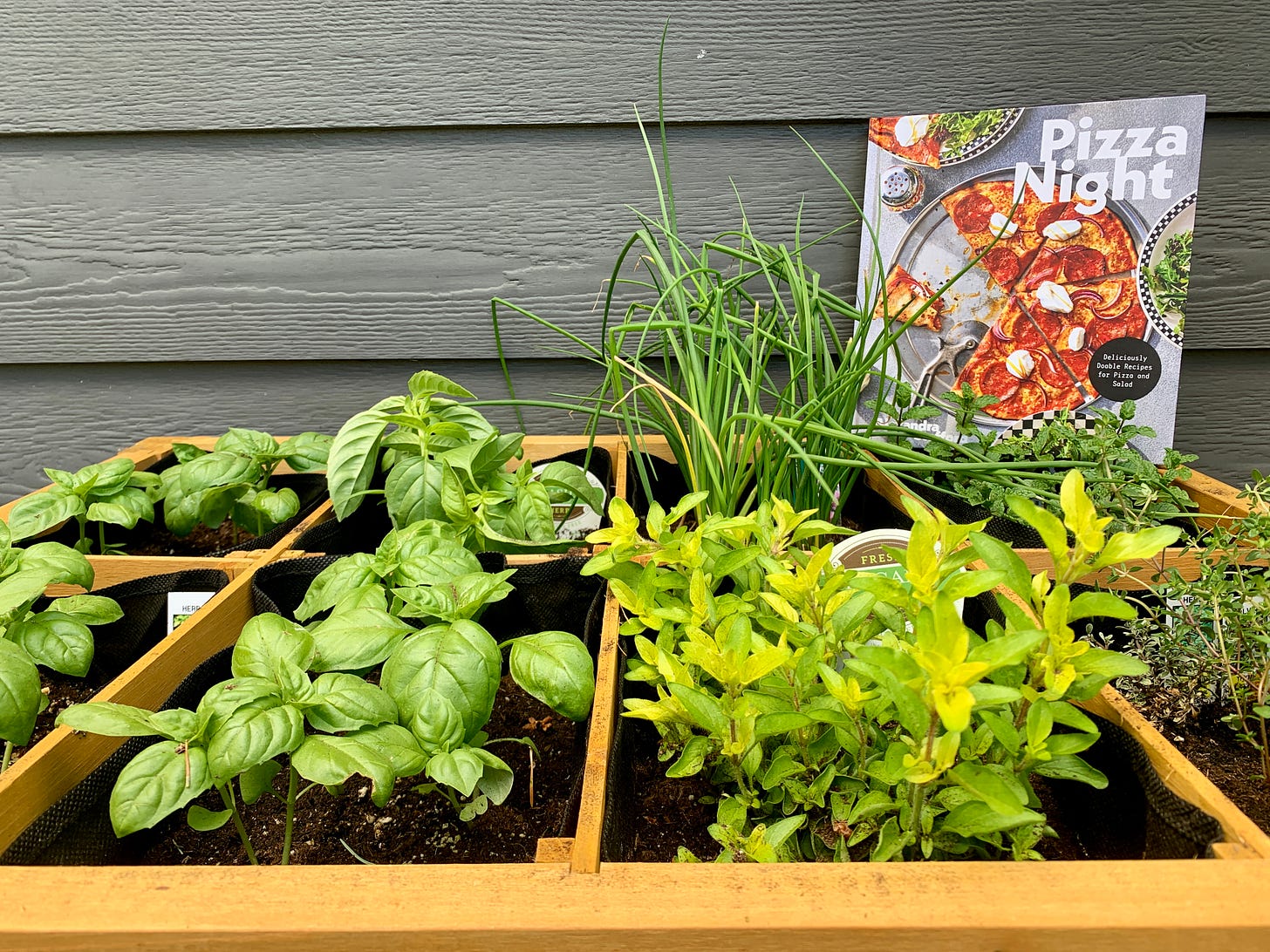 A photo of my container herb garden alongside my copy of the Pizza Night cookbook
