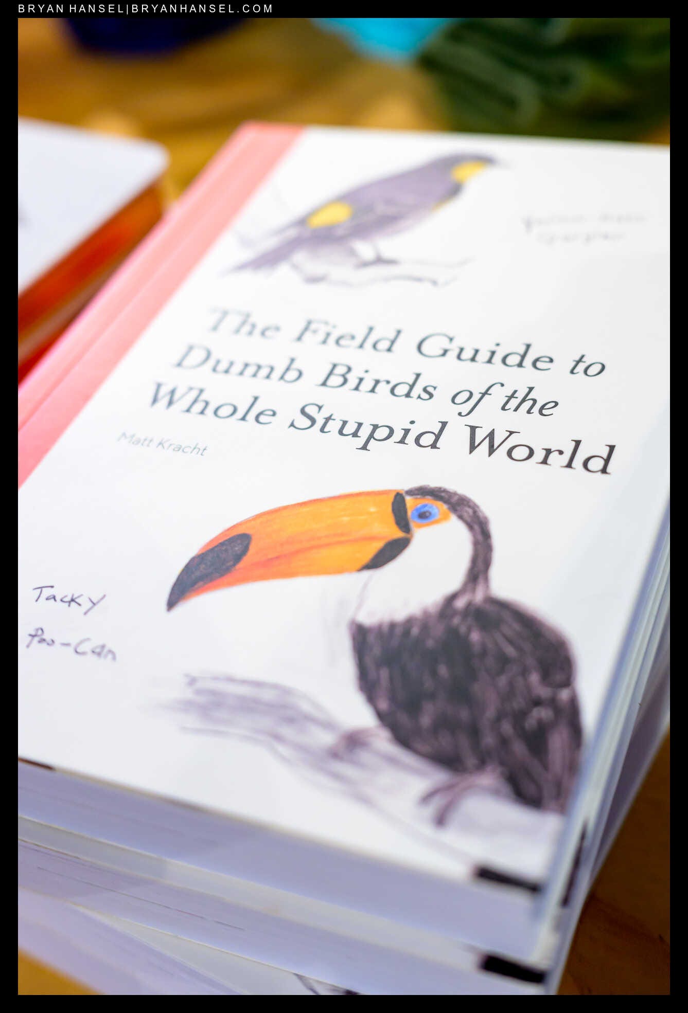 A photo shows the book The Field Guide to Dumb Birds of the Whole Stupid World