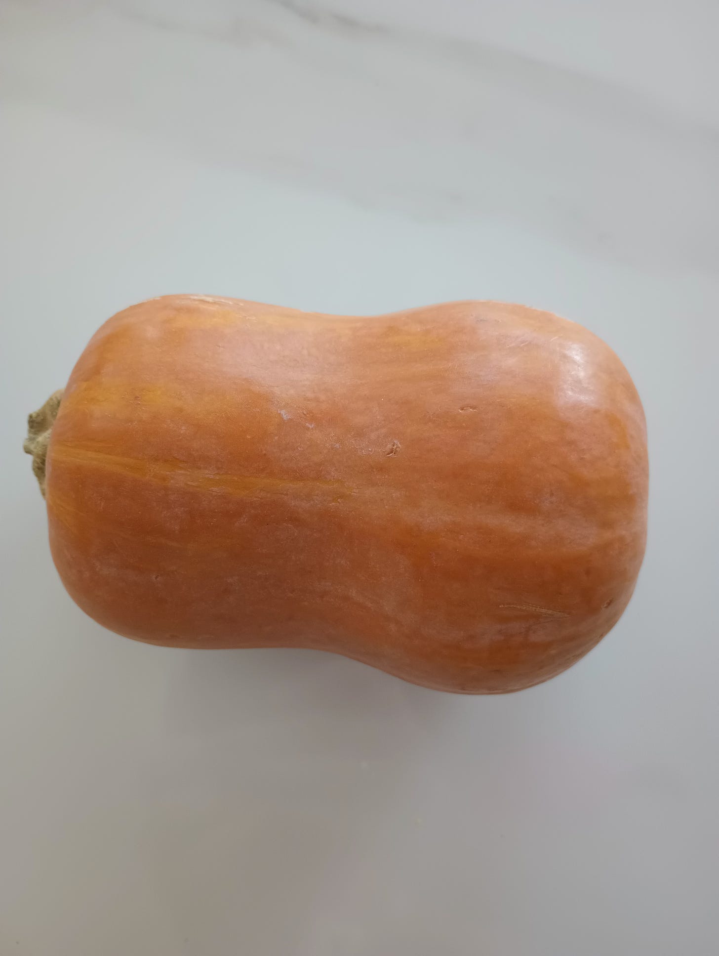 honeynut squash