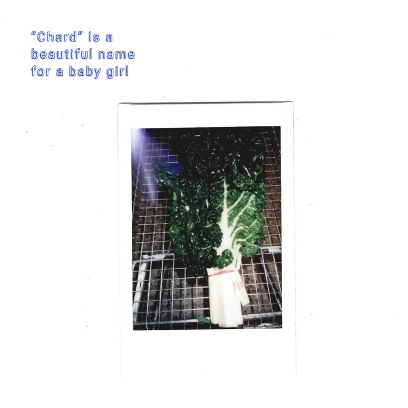 [meme]: "chard is a beautiful name for a baby girl" 