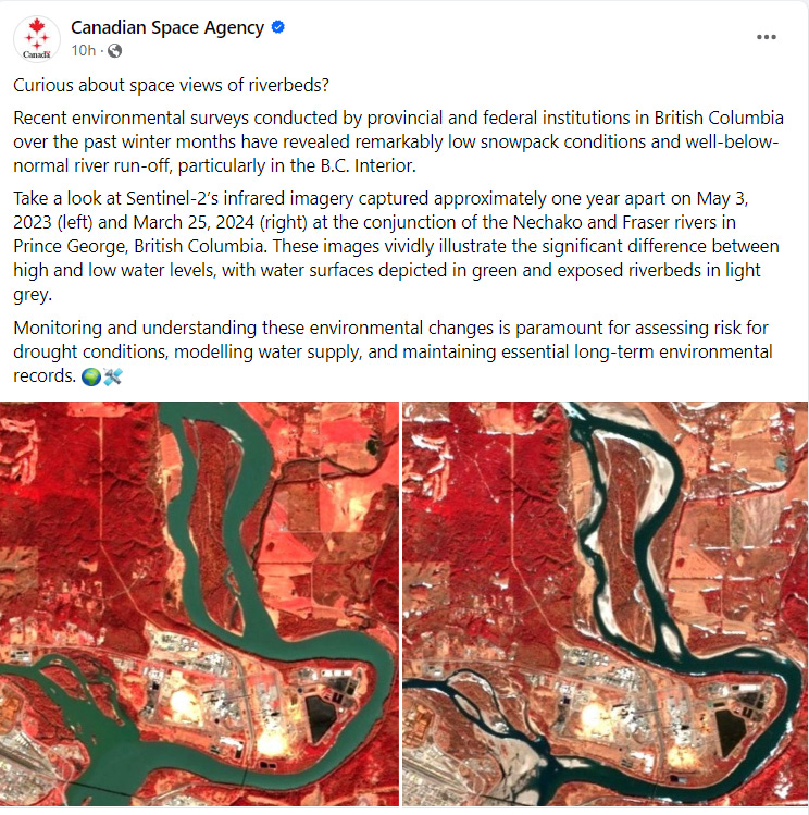 Curious about space views of riverbeds? Recent environmental surveys conducted by provincial and federal institutions in British Columbia over the past winter months have revealed remarkably low snowpack conditions and well-below-normal river run-off, particularly in the B.C. Interior. Take a look at Sentinel-2’s infrared imagery captured approximately one year apart on May 3, 2023 (left) and March 25, 2024 (right) at the conjunction of the Nechako and Fraser rivers in Prince George, British Columbia. These images vividly illustrate the significant difference between high and low water levels, with water surfaces depicted in green and exposed riverbeds in light grey. Monitoring and understanding these environmental changes is paramount for assessing risk for drought conditions, modelling water supply, and maintaining essential long-term environmental records. 🌍🛰️