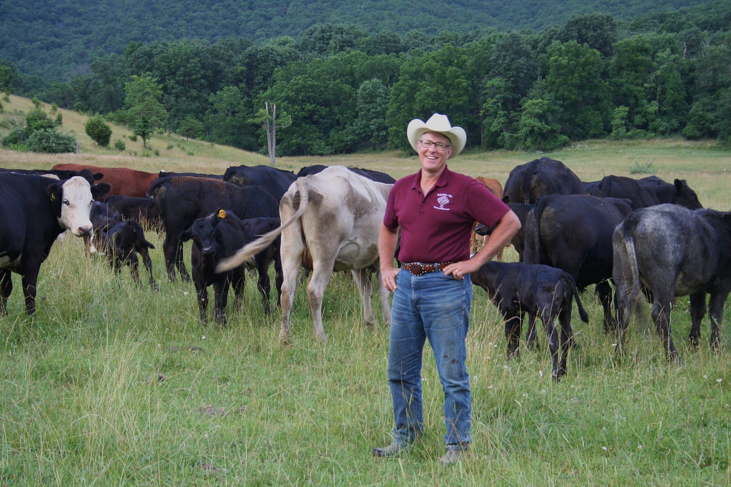 Joel Salatin of Polyface Farms Reveals the Secrets of 'Beyond Organic'  Farming | The Beef Site