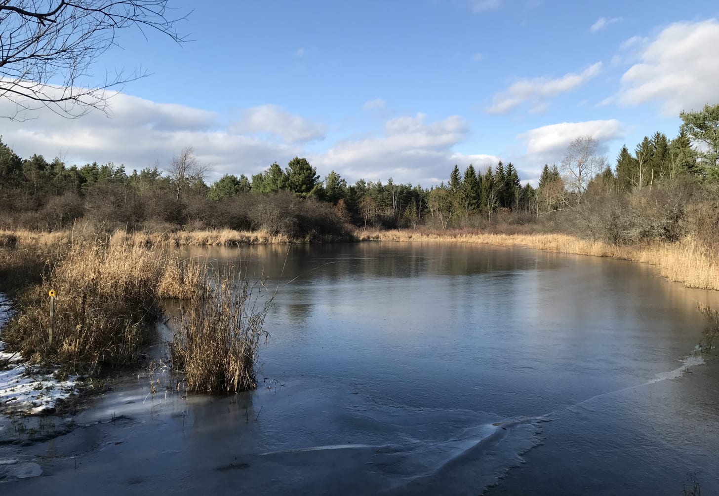 A pond in the Helderbergs from a regular hike, trying to freeze over on a brilliant fall day.