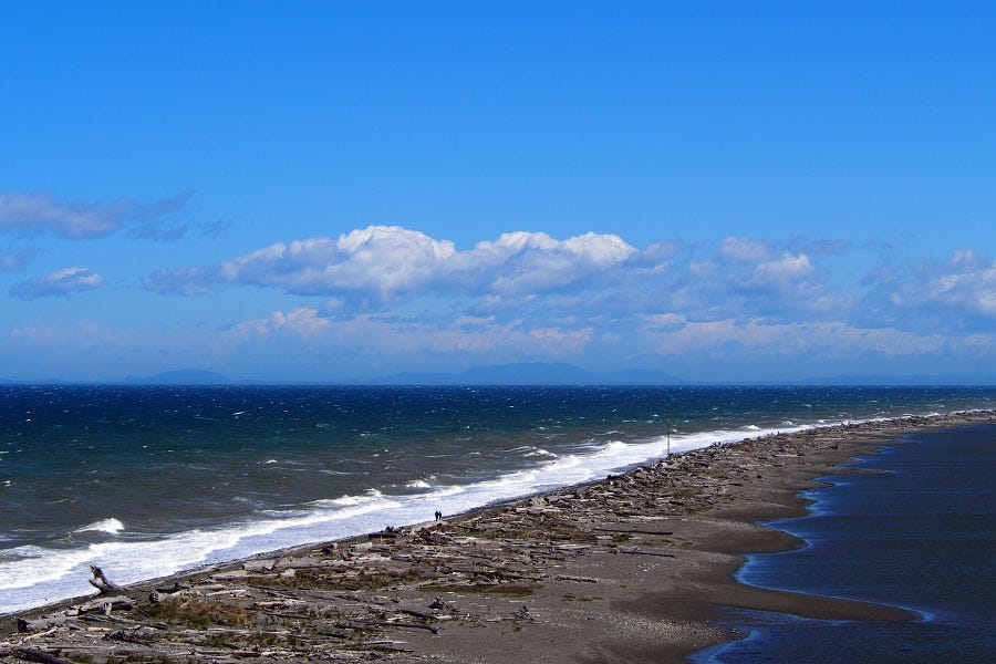 Beautiful Spring Day at Dungeness National Wildlife Refuge Beautiful Spring Day at Dungeness National Wildlife Refuge