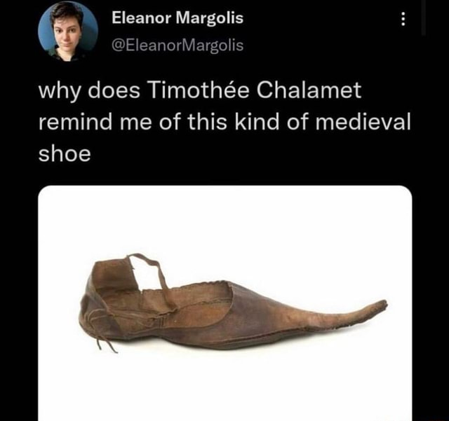 Eleanor Margolis r RA EleanorMargolis why does Timothee Chalamet remind me  of this kind of medieval shoe - iFunny