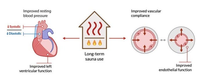 Sauna - an overview | ScienceDirect Topics