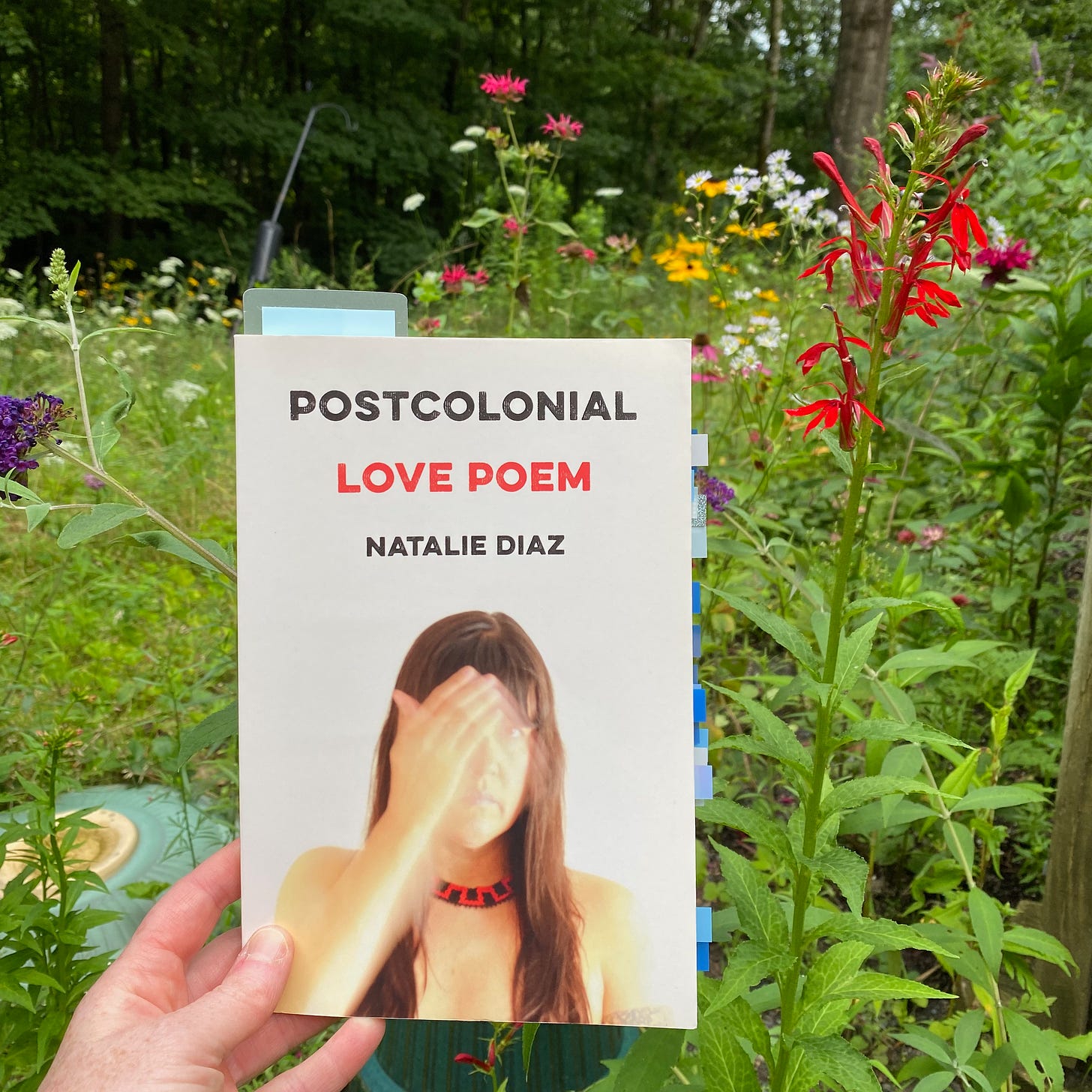 I’m holding this book up in front of my messy garden, with red, yellow, and purple flowers