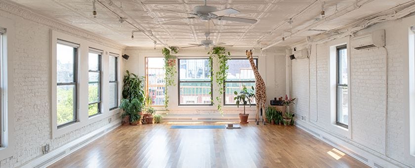 SKY TING YOGA (Yoga - Online and in person in NYC) - Women and Minority  Business