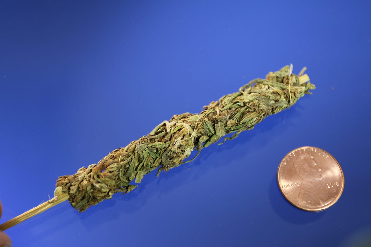 thai stick cannabis with penny