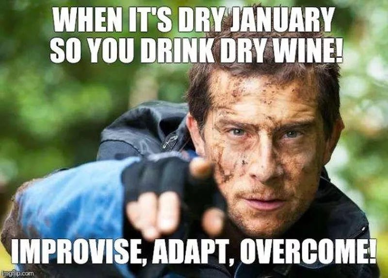 16 Painfully Relatable Dry January Memes