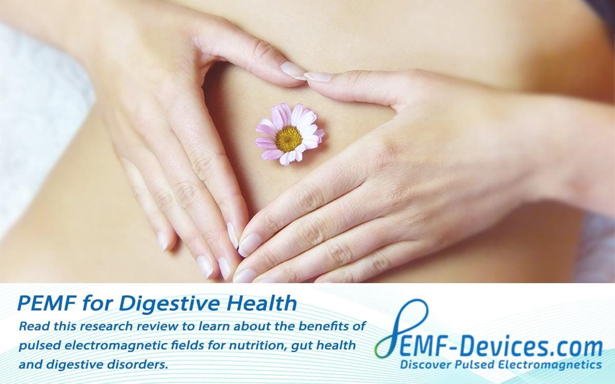 pulsed electromagnetic field therapy for digestive disorders, gut health and nutrition sports
