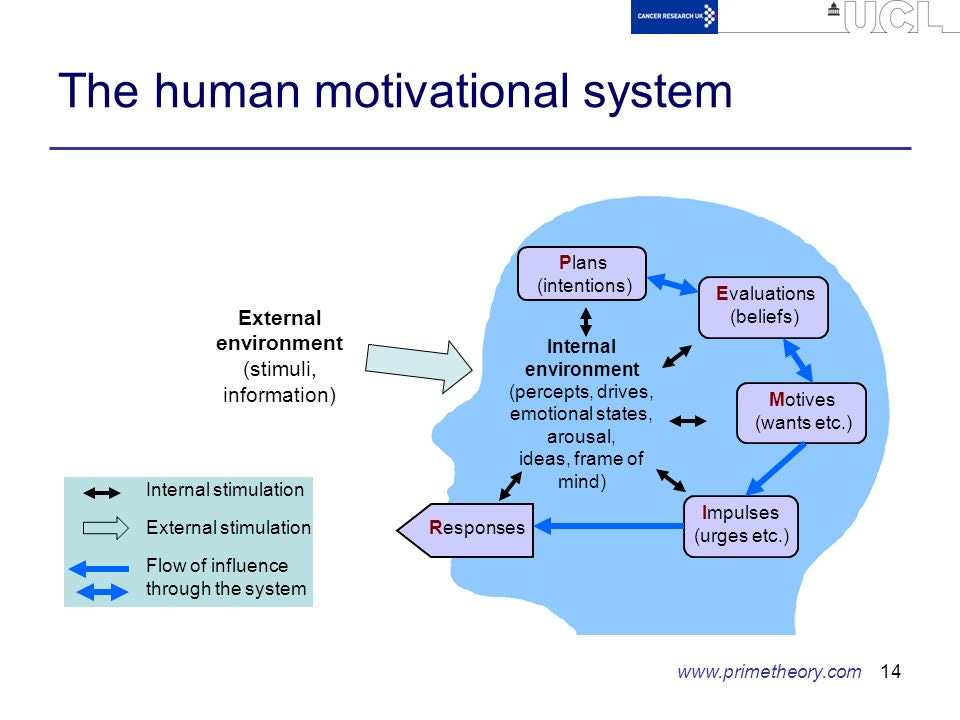 1 PRIME Theory of Motivation and its application to addiction Robert West  University College London SSA Annual Conference, York November ppt download