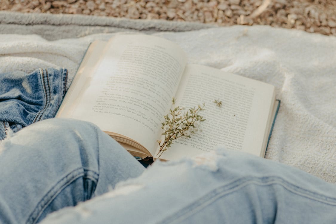 Free A Flower Marker on an Open Book Stock Photo