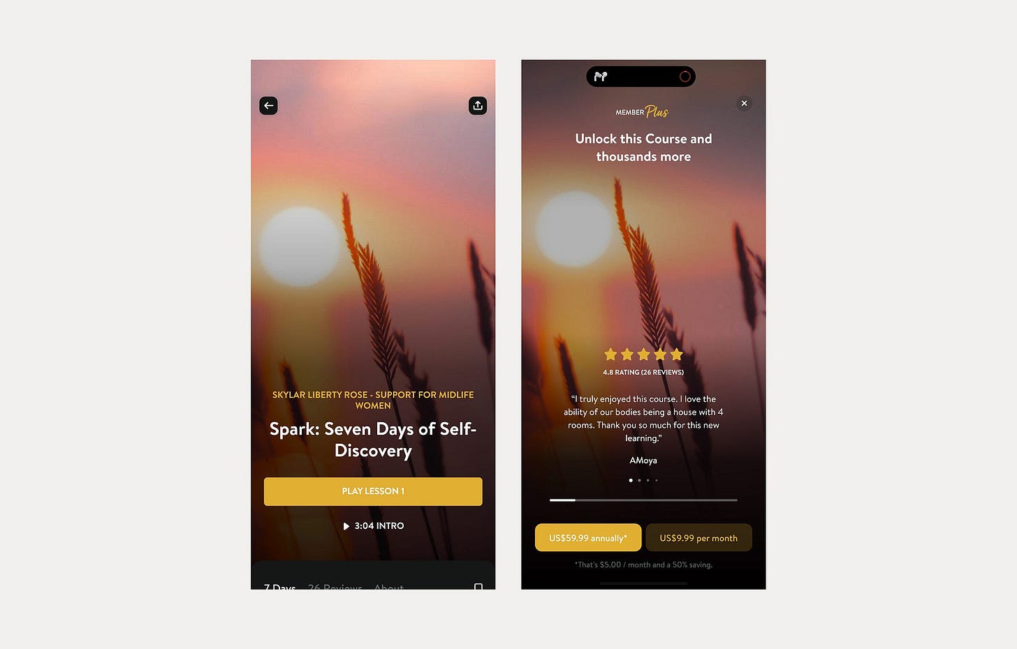 Paywall with audio preview for a course