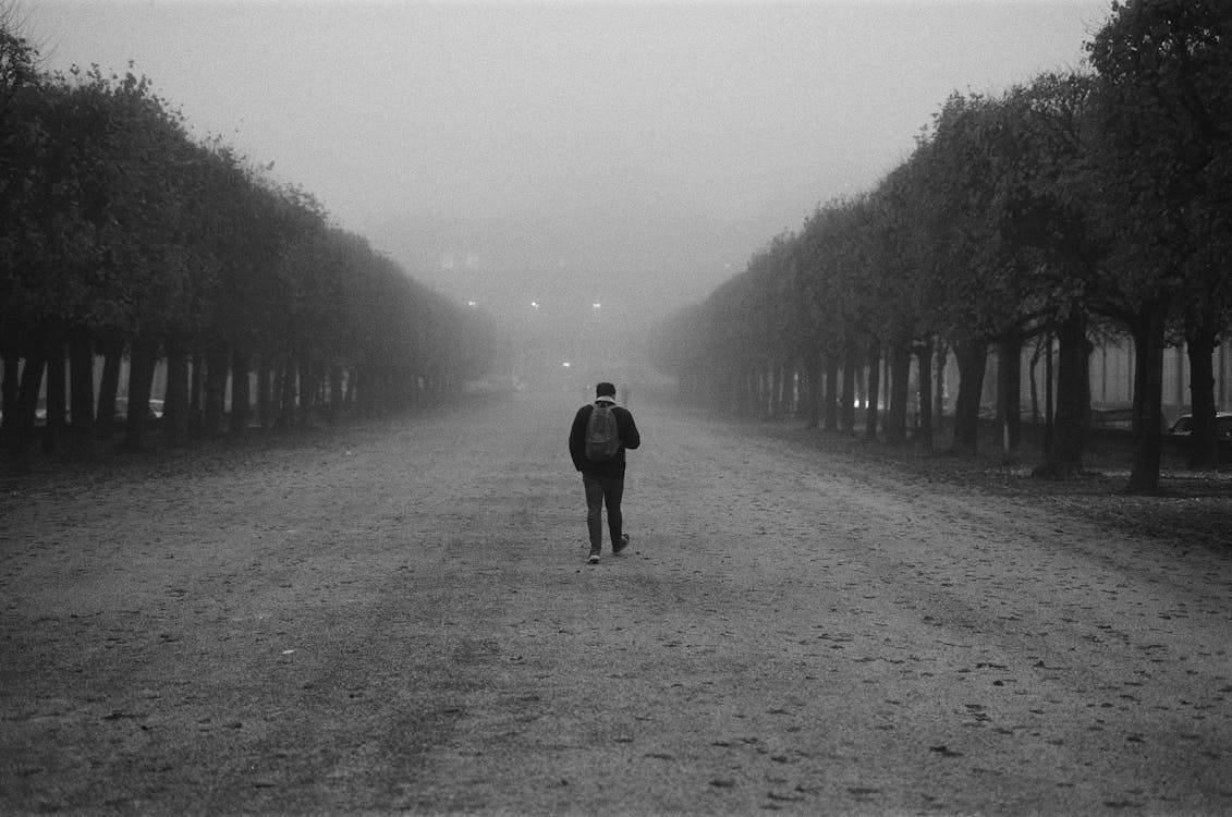 Free Back View of a Man Walking in a Pathway Stock Photo