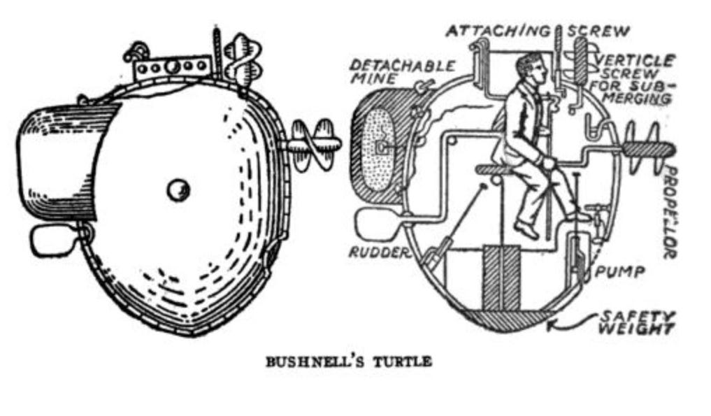 Diagram of the inside of Bushnell's turtle.