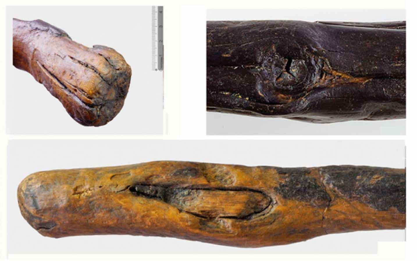 Three panels, two showing the rounded handle ends of two digging sticks and one showing a knot with surrounding shaped surface Three panels, two showing the rounded handle ends of two digging sticks and one showing a knot with surrounding shaped surface