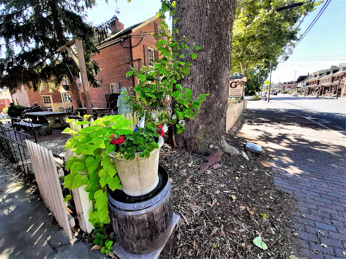 The trunk of a large tree in front of Mr. G's Ice Cream, a brick building, with potted plants in the foreground.