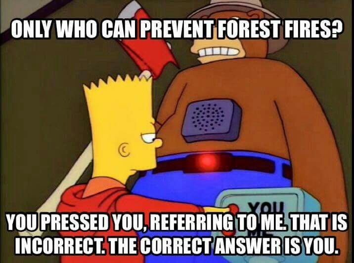 The Simpsons | Forest Fire Prevention
