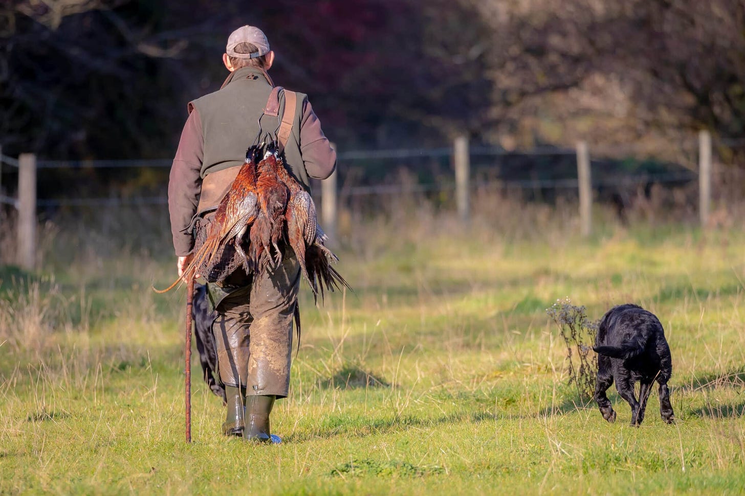 shooter with dead pheasants