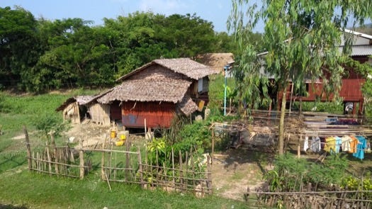 Local houses