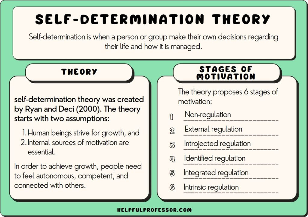 Self Determination Theory of Motivation, Explained! (2024)