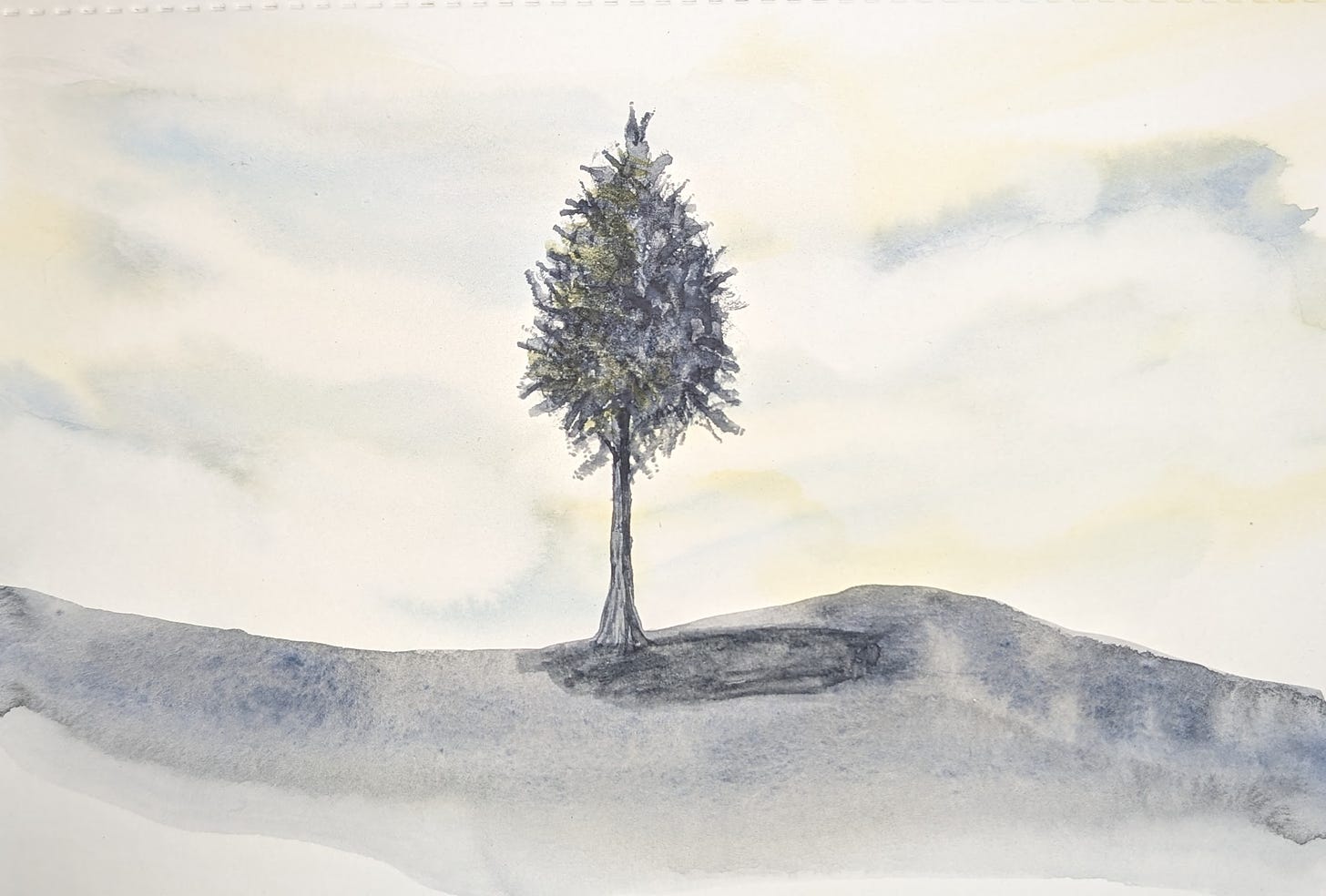 painting of small evergreen