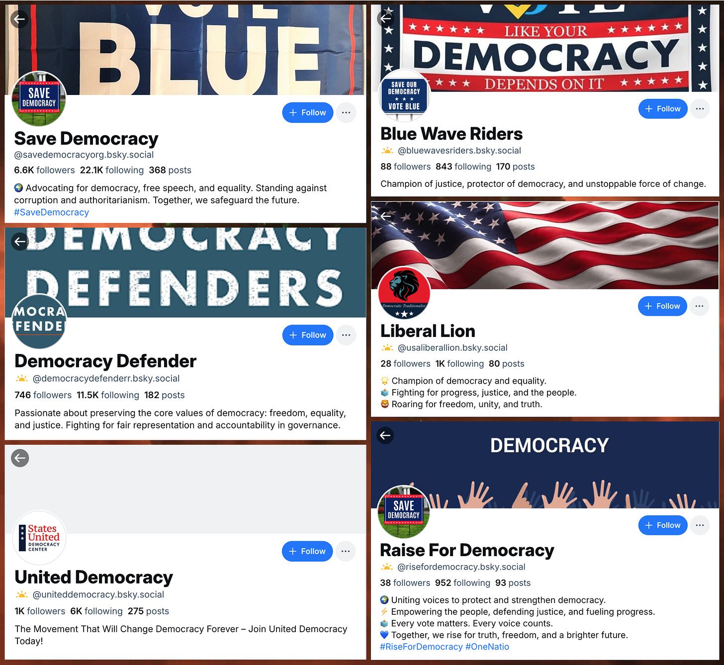 screenshots of the profiles of Bluesky accounts risefordemocracy.bsky.social, usaliberallion.bsky.social, bluewavesriders.bsky.social, democracydefenderr.bsky.social, uniteddemocracy.bsky.social, & savedemocracyorg.bsky.social