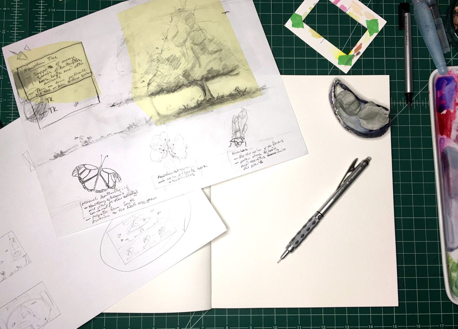 view of proofs, thumbnails and sketches for a nature illustration view of proofs, thumbnails and sketches for a nature illustration