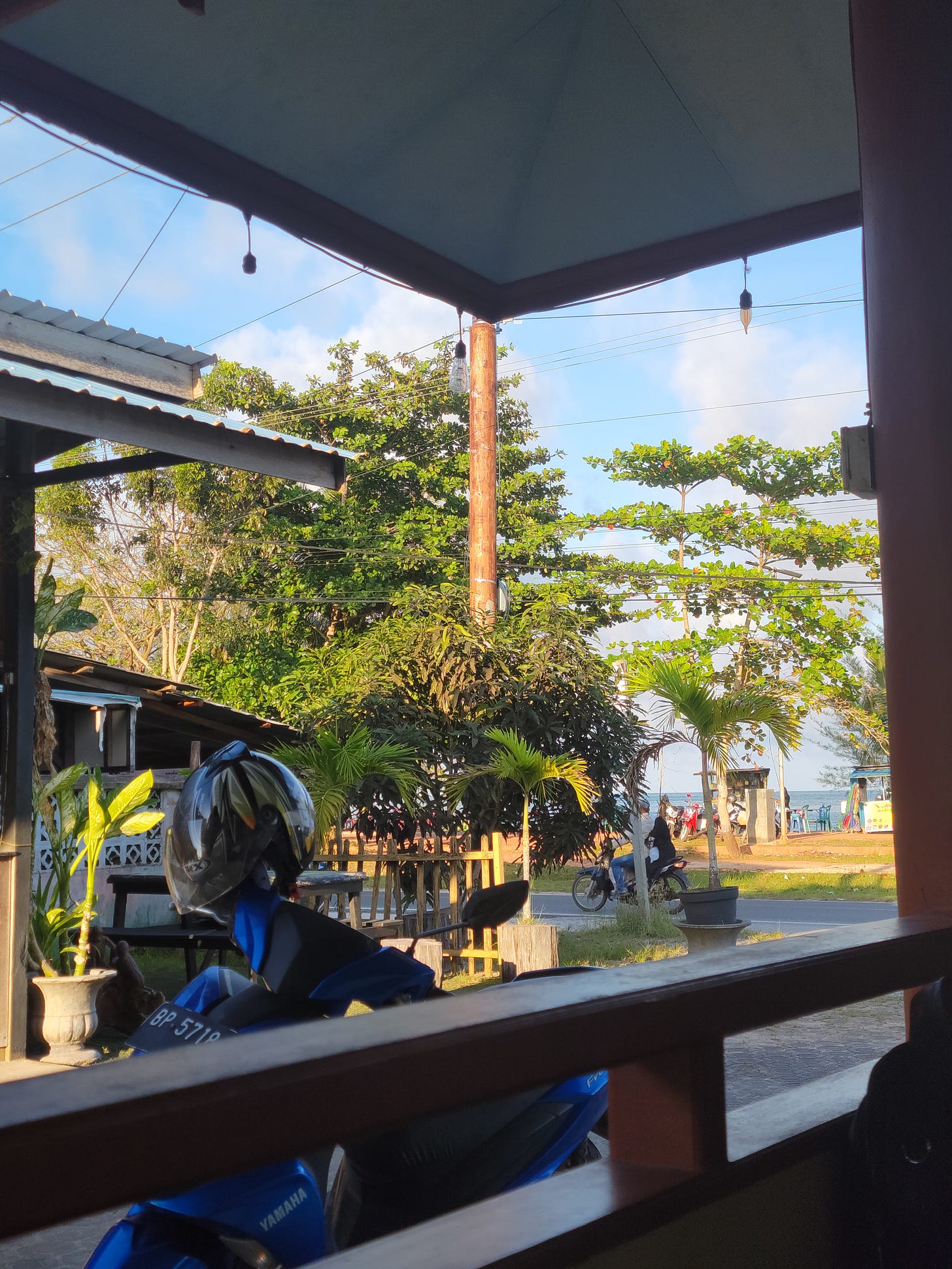 Photo taken from a coffee shop with a bike, trees and the breach in front.